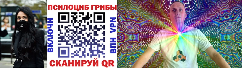 Галлюциногенные грибы Psilocybe  Макарьев 