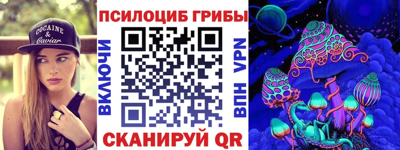 Галлюциногенные грибы Psilocybe Макарьев